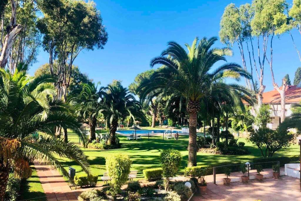Puerto Banus Richi Suite 马尔韦利亚 外观 照片